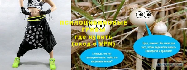 спиды Алексин