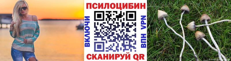 Галлюциногенные грибы GOLDEN TEACHER  где купить наркотик  Саки 